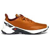 Buty męskie do biegania Salomon Alphacross L41103500
