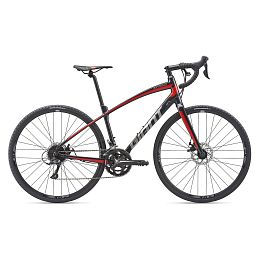 Rower Giant 19 Anyroad 2