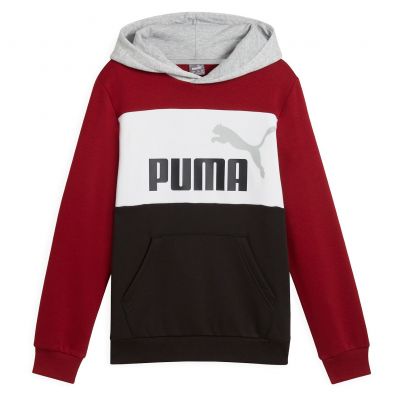 Bluza dla chłopców Puma Essentials Block Hoodie FL 679717
