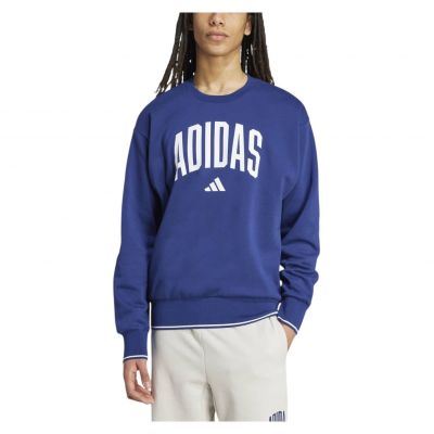 Bluza męska adidas Collegiate Lineage Graphic JM1734