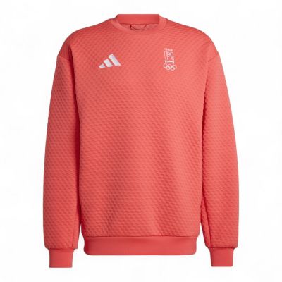 Bluza męska adidas Team PL Xploric Crew Neck JX1147