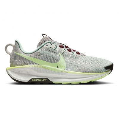 Buty do biegania w terenie męskie Nike Pegasus Trail 5 DV3864