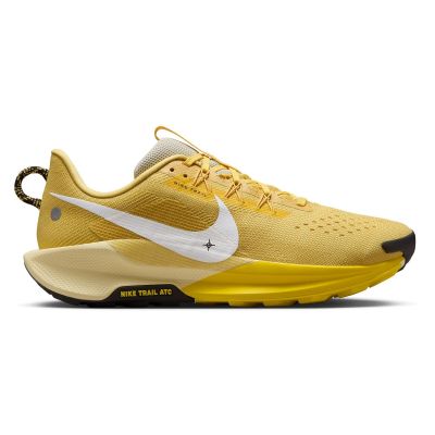 Buty do biegania w terenie męskie Nike Pegasus Trail 5 DV3864