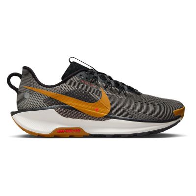 Buty do biegania w terenie męskie Nike Pegasus Trail 5 DV3864