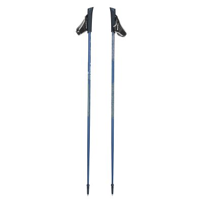 Kije do nordic walking Viking Forrester 650227456
