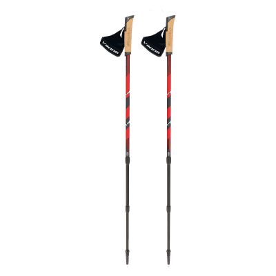 Kije do nordic walking Viking Kube Pro 650221743/34