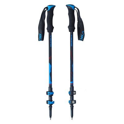 Kije trekkingowe Viking Lost Peak 610193310