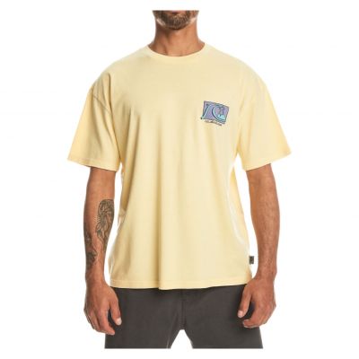 Koszulka męska Quiksilver Take Us Back EQYZT07652