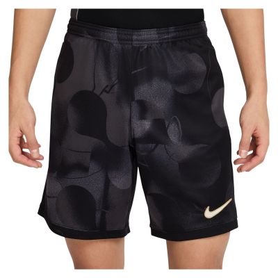Spodenki piłkarskie męskie Nike Academy+ Dri-FIT HJ4241