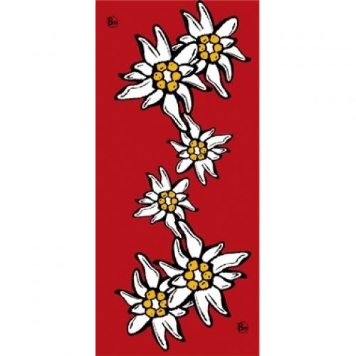 Chusta Buff Alpes Red 10/11645