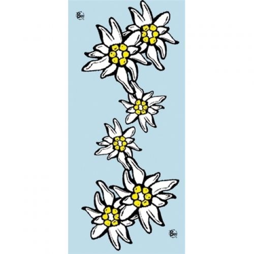 Chusta Buff Alpes Cel 10/11647