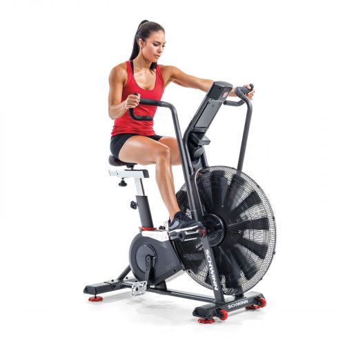 Rower powietrzny Schwinn Airdyne AD8