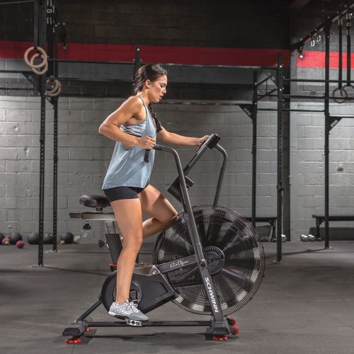 Rower powietrzny Schwinn Airdyne AD8