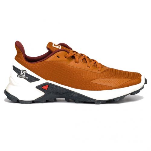 Buty męskie do biegania Salomon Alphacross L41103500