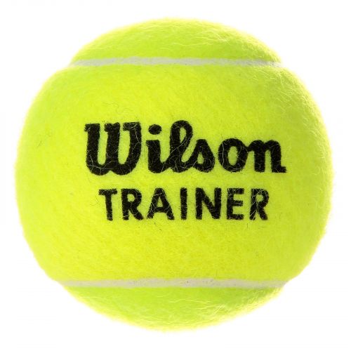 Piłka Wilson Trainer WRT131100 1 szt.