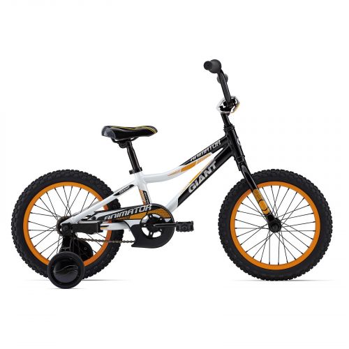 Rower Giant Animator 16 4206194