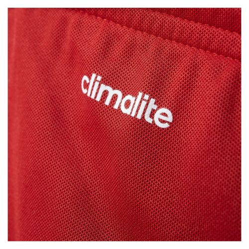 Spodenki adidas Parma Jr AJ5881