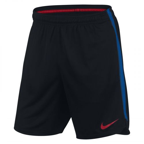 Spodenki Nike Squad FC Barcelona 854218