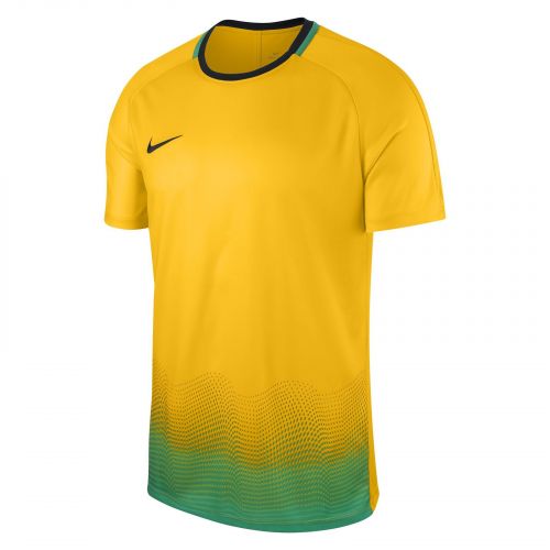 Koszulka Nike Academy M AJ4220