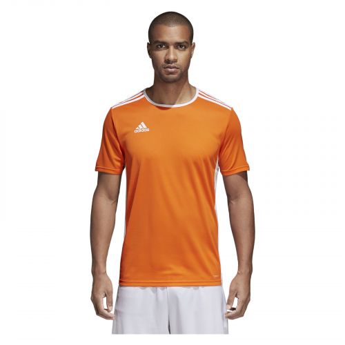 Koszulka adidas Entra M CD8366