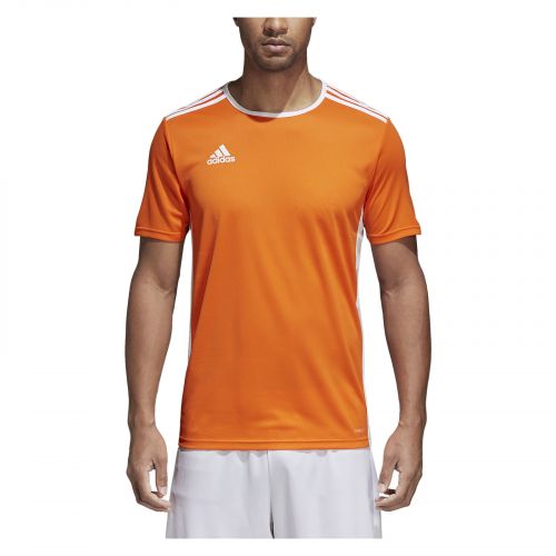 Koszulka adidas Entra M CD8366