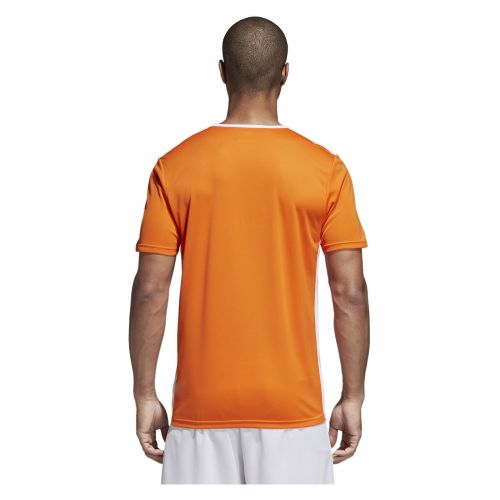 Koszulka adidas Entra M CD8366