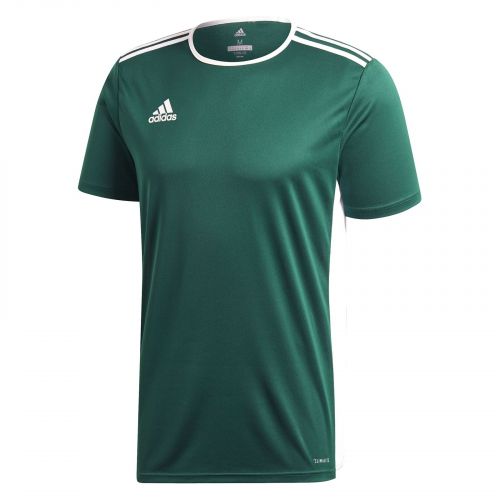 Koszulka dla dzieci do piłki nożnej adidas Entrada 18 Jersey CD8358