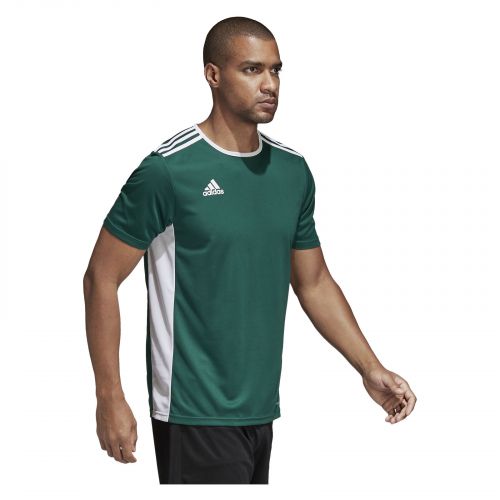 Koszulka dla dzieci do piłki nożnej adidas Entrada 18 Jersey CD8358