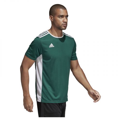 Koszulka dla dzieci piłkarska Adidas Entrada 18 Jersey CD8358