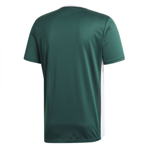 Koszulka dla dzieci piłkarska Adidas Entrada 18 Jersey CD8358
