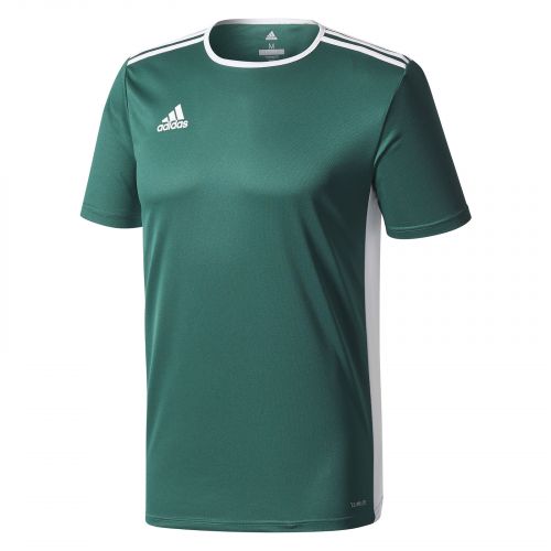 Koszulka dla dzieci piłkarska Adidas Entrada 18 Jersey CD8358