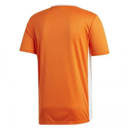 Koszulka adidas Entra M CD8366