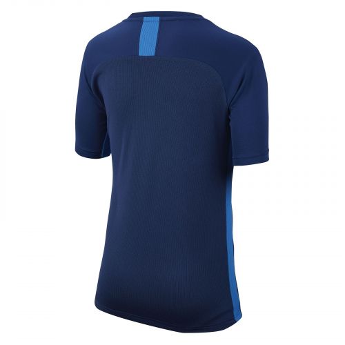 Koszulka Nike Dri-FIT Academy Jr AO0739