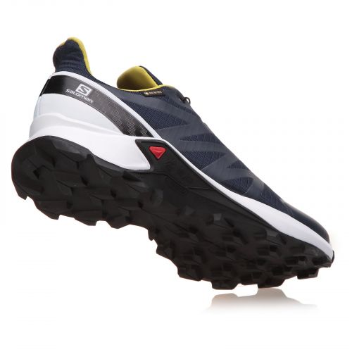 Buty męskie do biegania Salomon Supercross GTX L40947500 