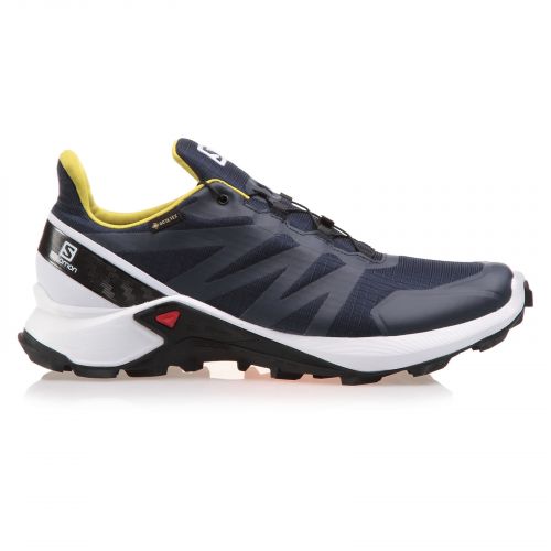 Buty męskie do biegania Salomon Supercross GTX L40947500 