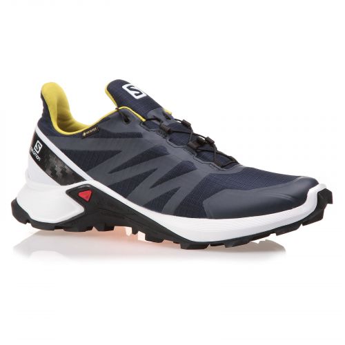 Buty męskie do biegania Salomon Supercross GTX L40947500 