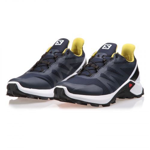 Buty męskie do biegania Salomon Supercross GTX L40947500 