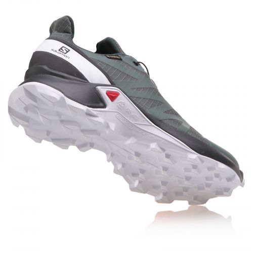 Buty damskie do biegania Salomon Supercross GTX L40947600 