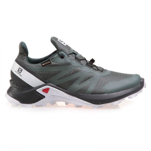 Buty damskie do biegania Salomon Supercross GTX L40947600 