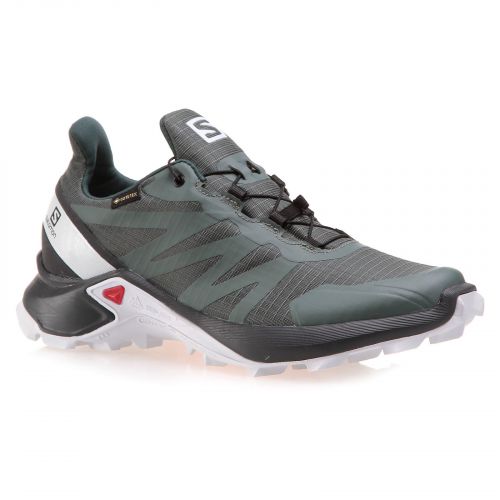 Buty damskie do biegania Salomon Supercross GTX L40947600 