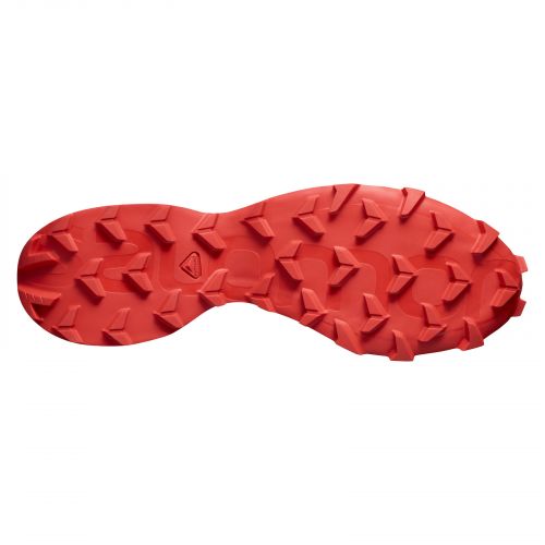 Buty Salomon Speedcross 5 M L40684300