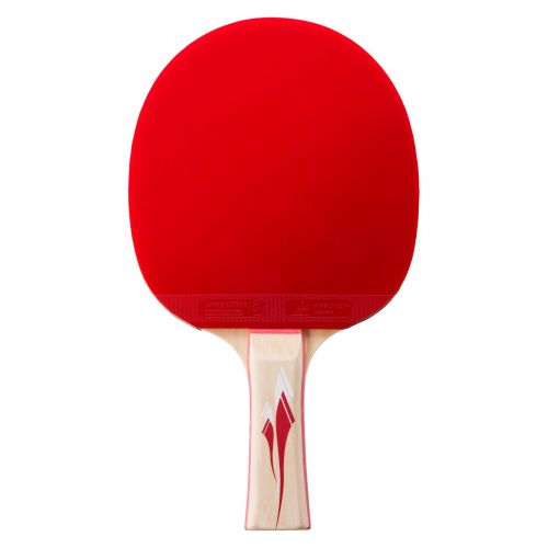 Rakietka do tenisa stołowego TECNOPRO 5000 288313