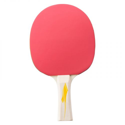 Rakieta do tenisa stołowego TECNOPRO 2000 288322