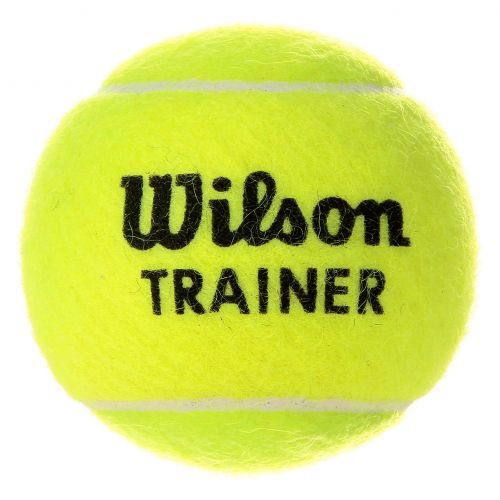Piłka Wilson Trainer WRT131100 1 szt.