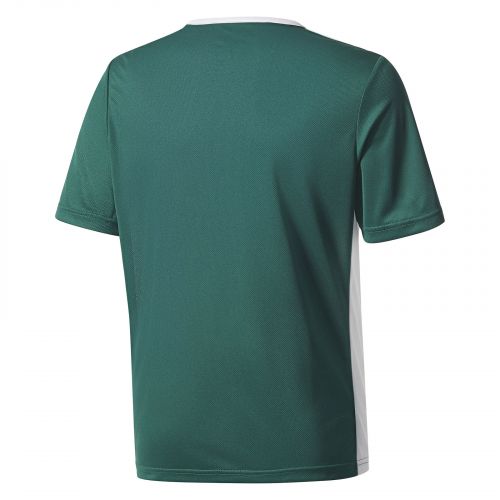 Koszulka piłkarska dla dzieci Adidas CE9563