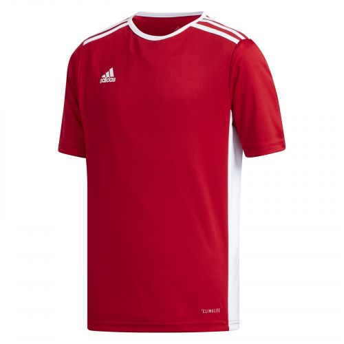 Koszulka piłkarska dla dzieci adidas Entrada 18 Jr CF1050