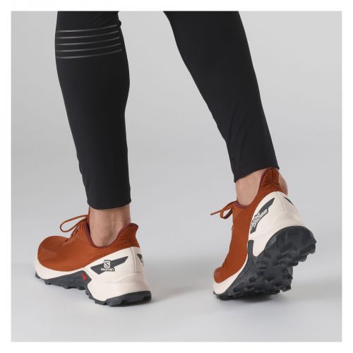 Buty męskie do biegania Salomon Alphacross L41103500