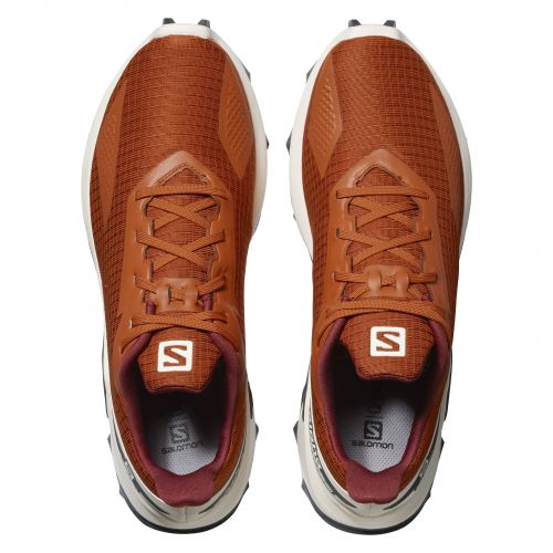 Buty męskie do biegania Salomon Alphacross L41103500