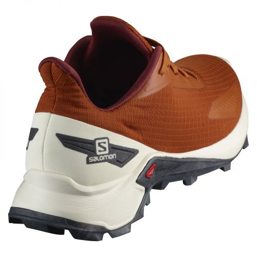 Buty męskie do biegania Salomon Alphacross L41103500