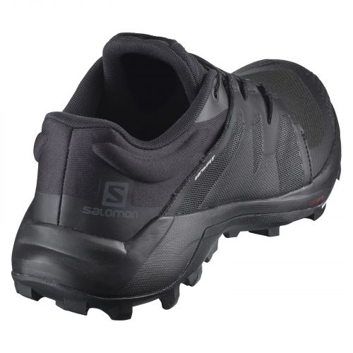 Buty do biegania męskie Salomon Wildcross L41105500